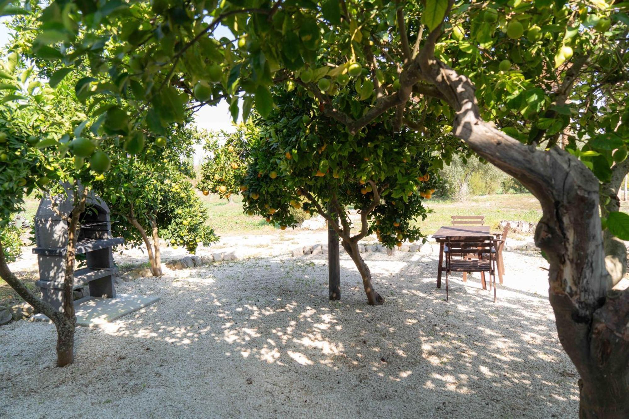 Villa Casale Scirbia à Marzamemi Extérieur photo