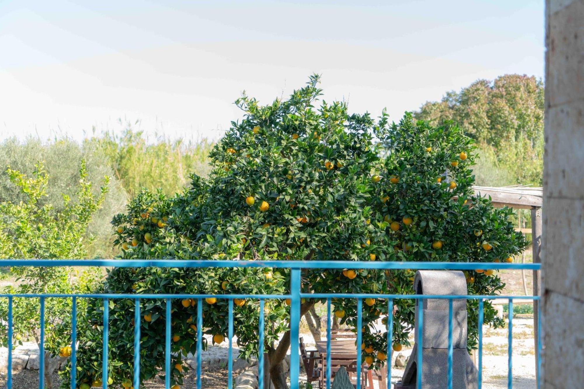 Villa Casale Scirbia à Marzamemi Extérieur photo